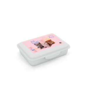 Oxybag Box na desiatu s priehradkou Maznáčikovia mačiatka
